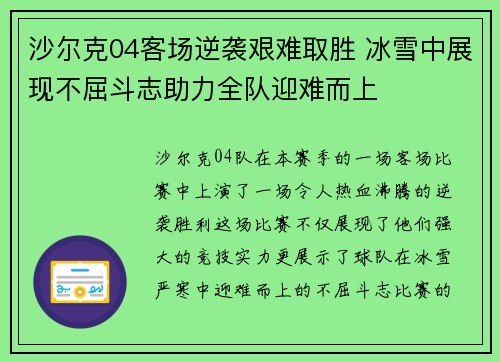沙尔克04客场逆袭艰难取胜 冰雪中展现不屈斗志助力全队迎难而上