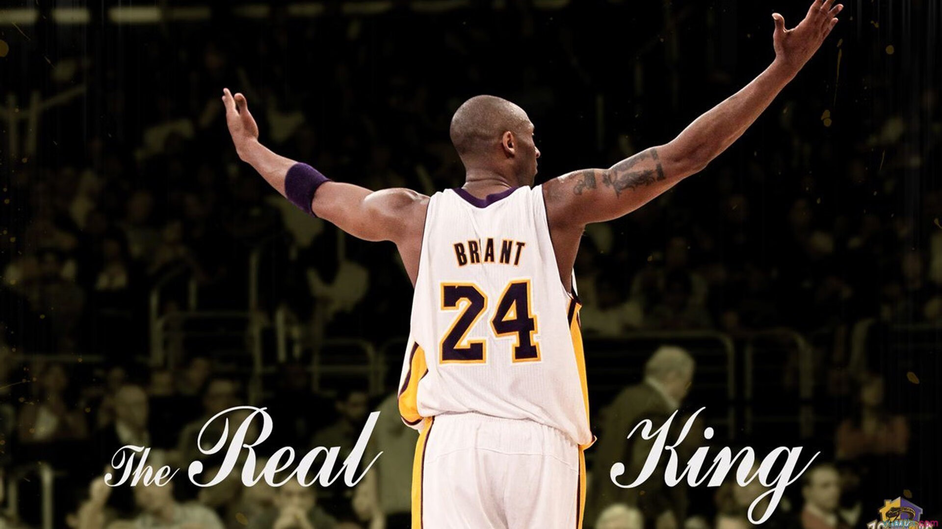 热火强压马刺,字母哥在F1年度争冠接管比赛,跨界统治的时代寓言